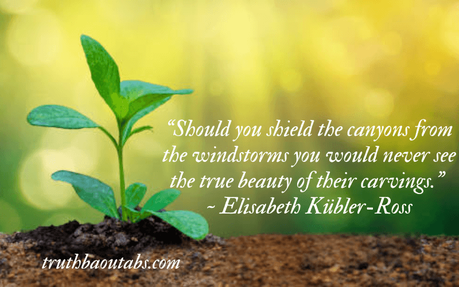 World Environment Day 2023: Nature Quotes and Sayings 