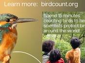 Kids Help Scientists Great Bird Count