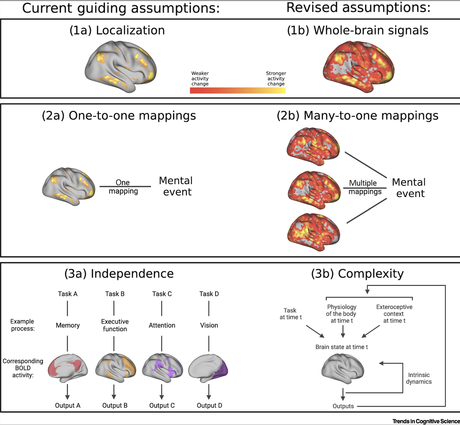 Fundamentally rethinking what a mind is and how a brain works.
