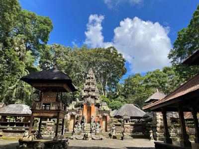 BALI, A TROPICAL PARADISE: Guest Post by Tom Scheaffer