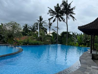 BALI, A TROPICAL PARADISE: Guest Post by Tom Scheaffer