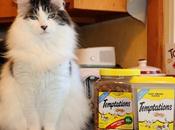 SAVE TEMPTATIONS Classic Crunchy Soft Treats