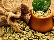 Green Coffee Weight Loss Healthy Living