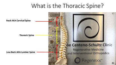 Thoracic Spine MRI:  What is It?