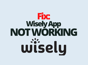 Fix: Wisely Working