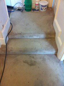 Removing Dry Blood from Carpets