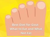 Best Diet Gout What