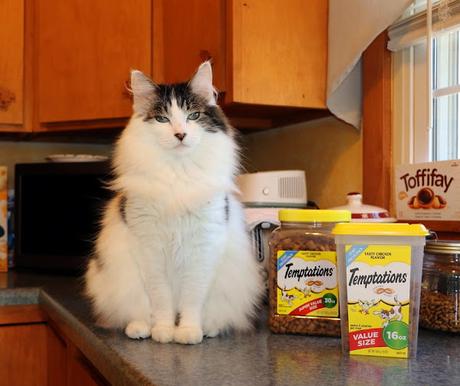 Image: TEMPTATIONS Classic Crunchy and Soft Cat Treats Creamy Dairy Flavor, 16 oz. Tub