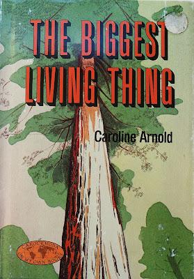 PRE-SEPARATED ART: Illustrating My Book THE BIGGEST LIVING THING