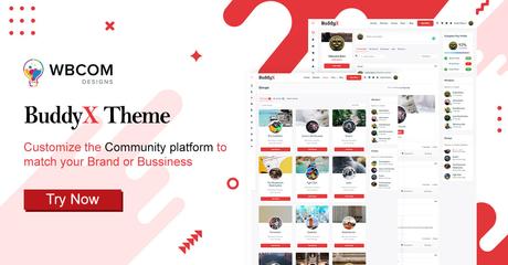 BuddyPress Theme- WordPress Community Theme