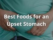 Best Foods Upset Stomach