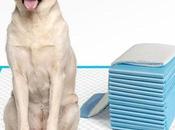 SAVE Training Pads, Extra Large