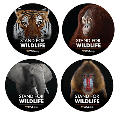 FREEBIE: Free Stand for Wildlife Stickers (US)