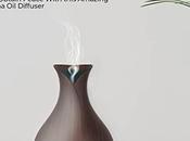 Best Electric Aroma Diffuser Your Home