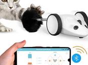 SAVE $10/00 Instachew Purechase Smart