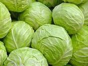 from Humble Cabbage Complex Fibonacci Numbers