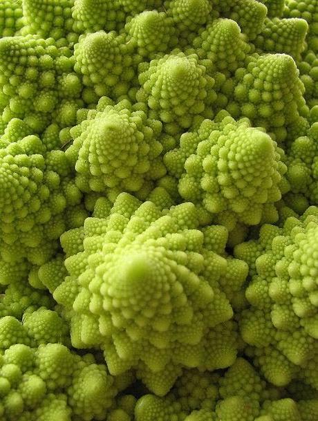 from humble Cabbage -  to  -  complex Fibonacci numbers !!
