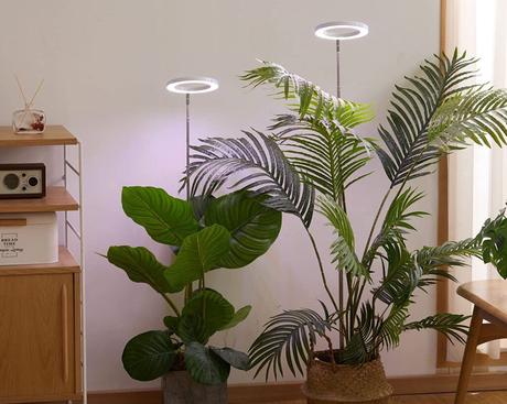 The top 6 LED grow lights for houseplants