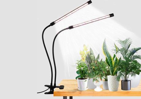 The top 6 LED grow lights for houseplants