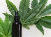 What Full Spectrum CBD? Everything Need Know.