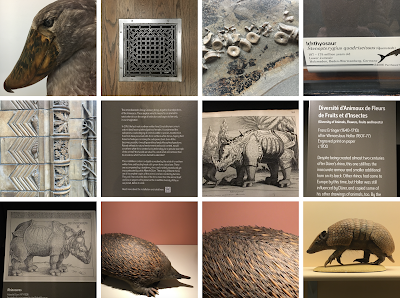 Unusual and endangered animals at the Natural History Museum