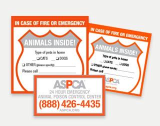 Image: US MAIL FREEBIE: Keep Pets Safe with Your Free ASPCA Pet Safety Pack