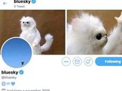 BlueSky Replace Twitter 2023 Revolutionize Your Social Media Experience