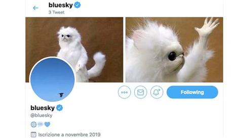 How BlueSky replace Twitter in 2023