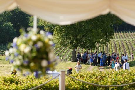 wedding guests at bluebell vineyard