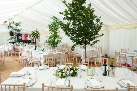 wedding detail photo of trees inside a wedding marquee