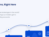 TorroCapital Review Gives Insights Trading Platform