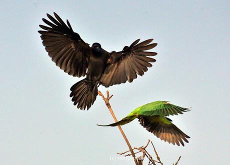 winner of International Beauty Pageant !!!