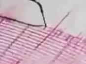 Magnitude Earthquake Zealand