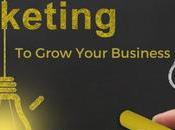 Utilize Influencer Marketing Grow Your Business