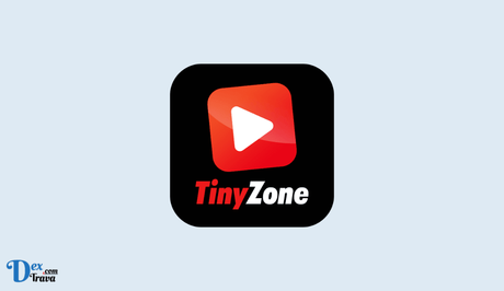 How to Fix Tinyzone Not Working