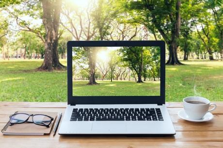 Google stopped Crawling & Indexing to Avoid the Environment in 2023