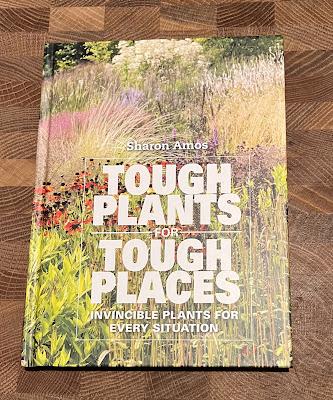 Book Review:  Tough Plants for Tough Places by Sharon Amos and Why We Garden by Claire Masset