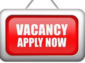 Michael Stevens Consulting Recruitment Positions)