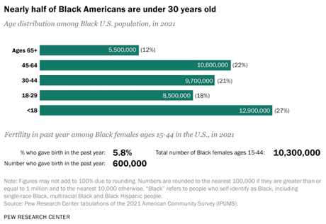 Facts About The Black Population In The U.S.