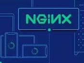 Install Nginx Ubuntu