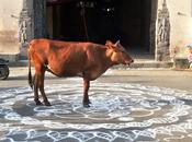 Taking Good Photo Focus Centre