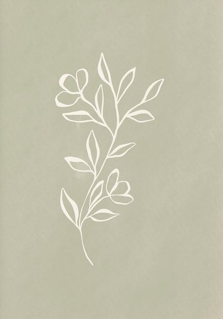 Curated List: The Most Serene Sage Green Aesthetic Wallpapers