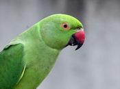 Ever-green Relationship