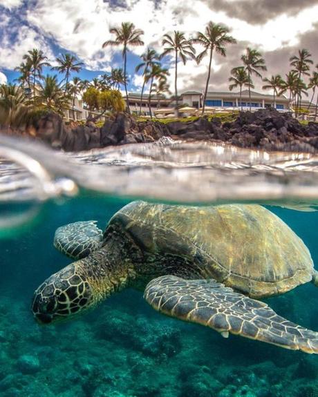 best honeymoon places in hawaii maui