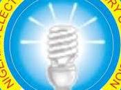 NERC Essay Contest 2021 Nigerian Secondary School Students