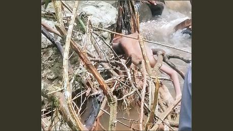 Bodies of two missing children found