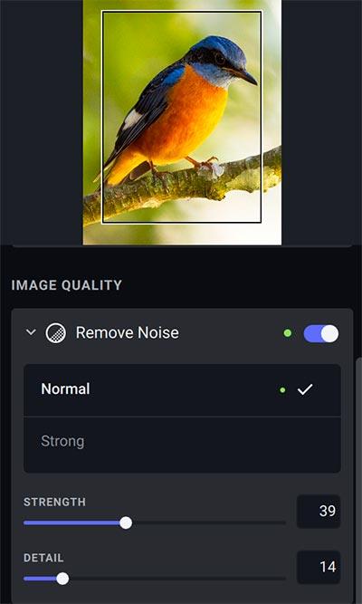 Remove Noise -Photo AI