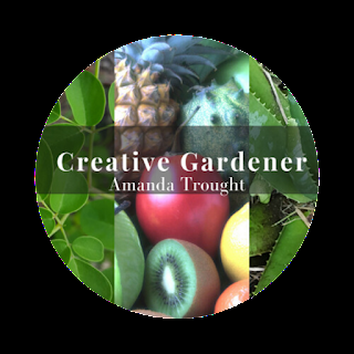 A Garden of Imagination: Taking a Tour of the Creative March Garden