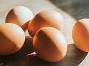 Eggs Bakers Rs.35 from India