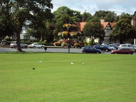 The Finest Spots to Visit in North Fork The Finest Spots to Visit in North Fork